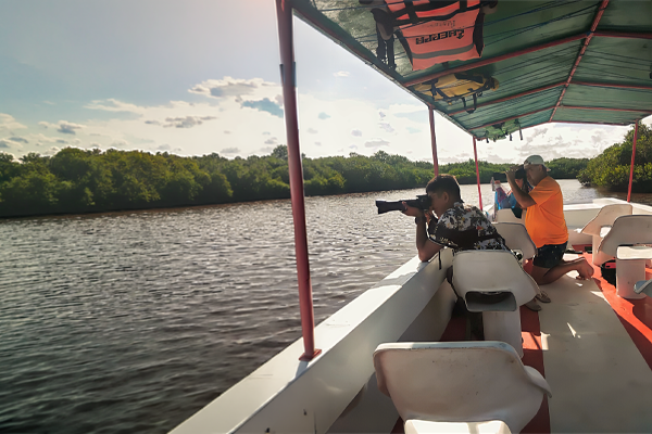 Boat-Birding-in-Celestun Birding by boat in the Celestún Estuary, Yucatán, with Casa Bacab local guidance through mangroves and coastal bird habitats.